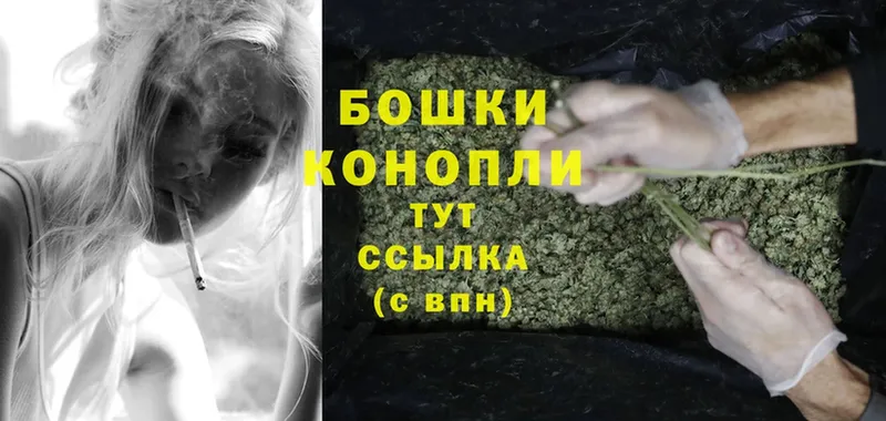 где купить наркоту  Красноуральск  Бошки марихуана Amnesia 